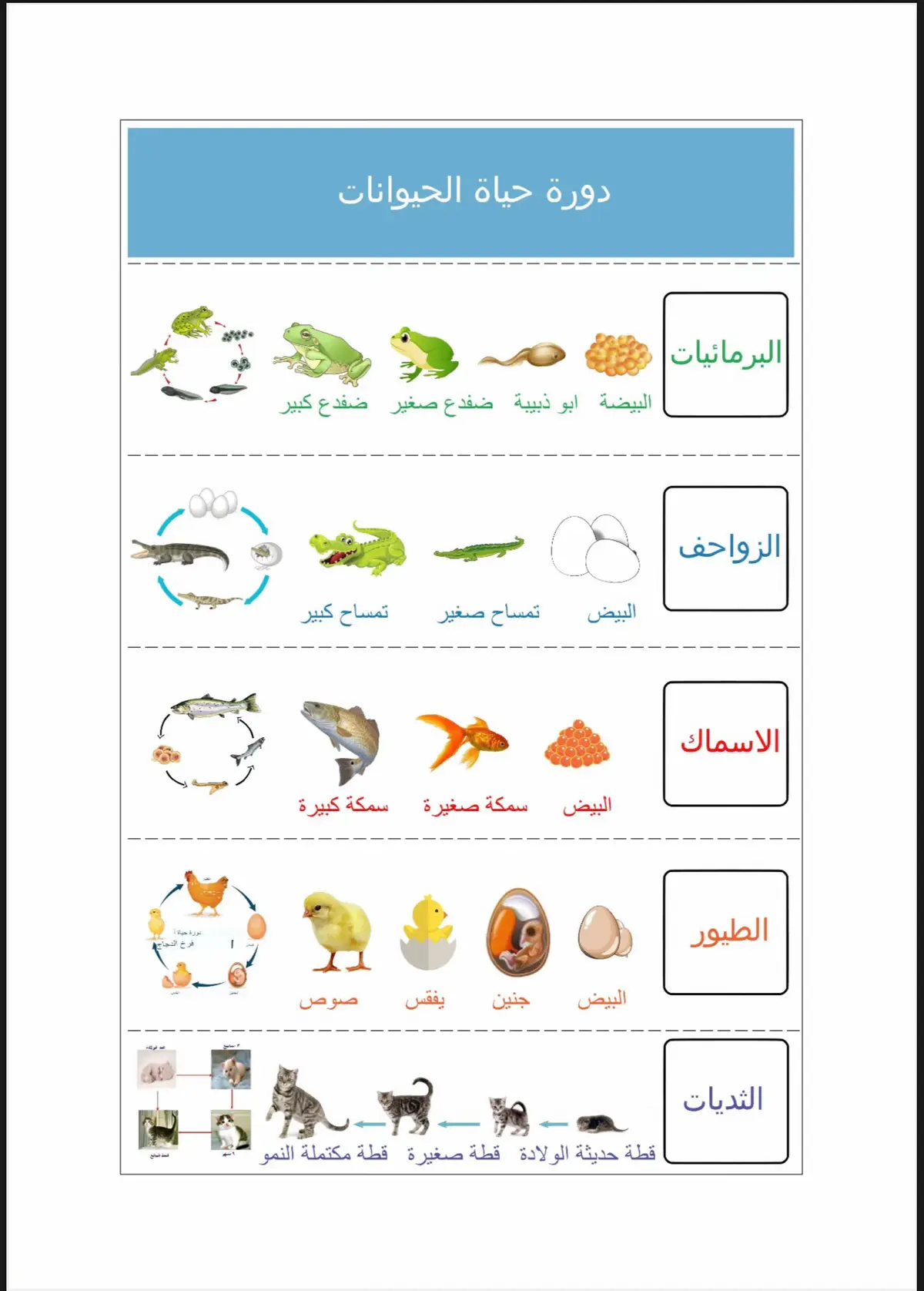 #ثالث_ابتدائي #مطويات #مجاني 
