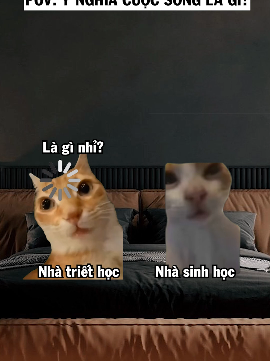 Nhà sinh học said: 