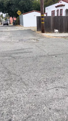 #onthisday #dontrunfromthelord #fyp 