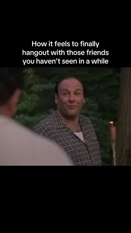#meme #thesopranos #tonysoprano #tvshow #based 