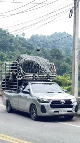 ขยันบ้างเป็นบางช่วง แต่ถ้าง่วงนี้เป็นประจำ#แหนบท้องอ้วน #รีโว่ซิ่ง #เว้าคัสซี #ฟีดดดシ #fpyシ 