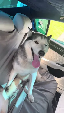 VW baddness 💙🤍