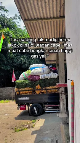 Wes genah kelas kabupatenan malah di kon gas tanah tinggi 😁😁 #herektiktok #herextiktokreborn #kontenrandom 