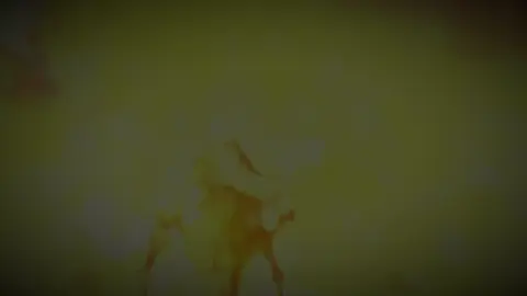 Màn lên Final form mà các ae toku đều mê #kamenrider #kamenriderzio #tokusatsu #fyp #kamenriderdecade 