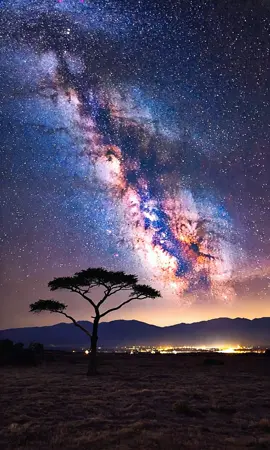 Amazing starlight view ✨🥰🌲 ##amazing##life##landscape##starlight##nature