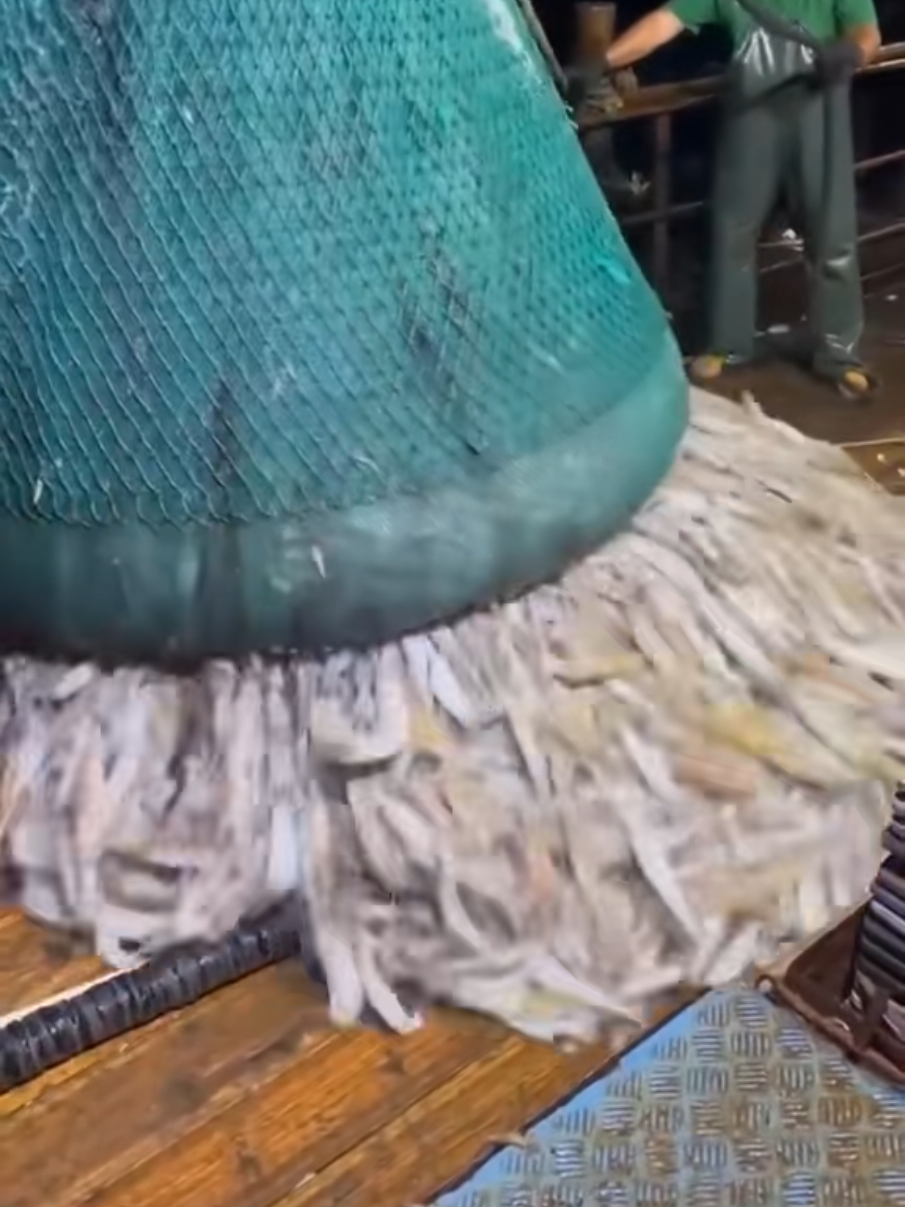 #رؤوس_الجبال #كمزار #مسندم #كنعد #كنعد # 