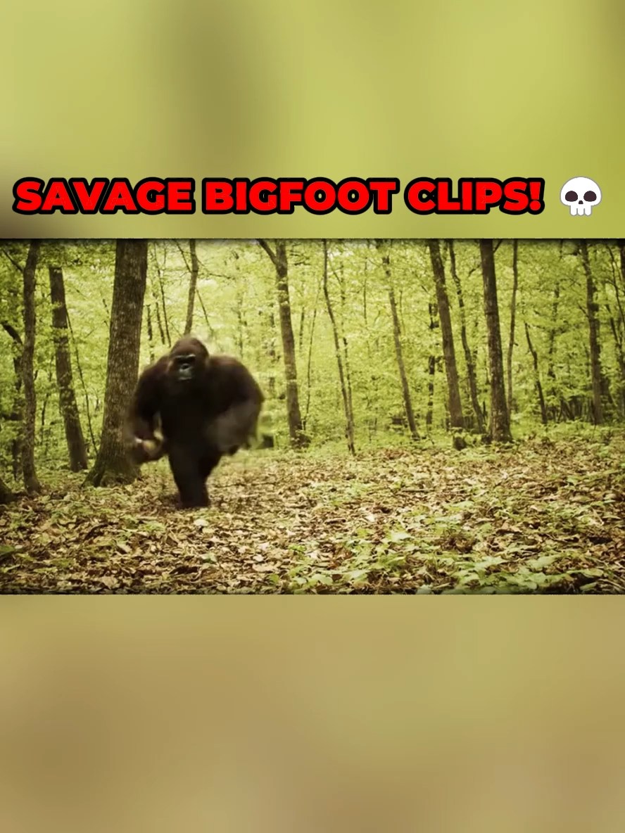Savage bigfoot clips!😭😭😭 #funnymoments #bigfootvlog #bigfootandyeti #bigfootboyz #savage #fypusa #funnyai