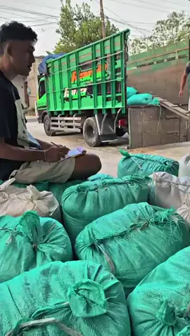 #muat  #jagung  #fyp 