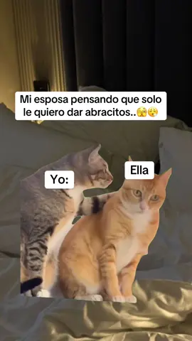 🤣🤣🤣🤣#jajaja #humor #viralvideo #Meme #MemeCut 