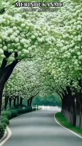 𝐌𝐄𝐑𝐈𝐍𝐃𝐔𝐊𝐀𝐍𝐌𝐔 ᏕᎯᏁᎠᎽ ᎷᎯᎶᎯᏝᏝᎯ #fyppppppppppppppppppppppp  #trendlagubucin  #ily  #viraltiktok  #seseorang 