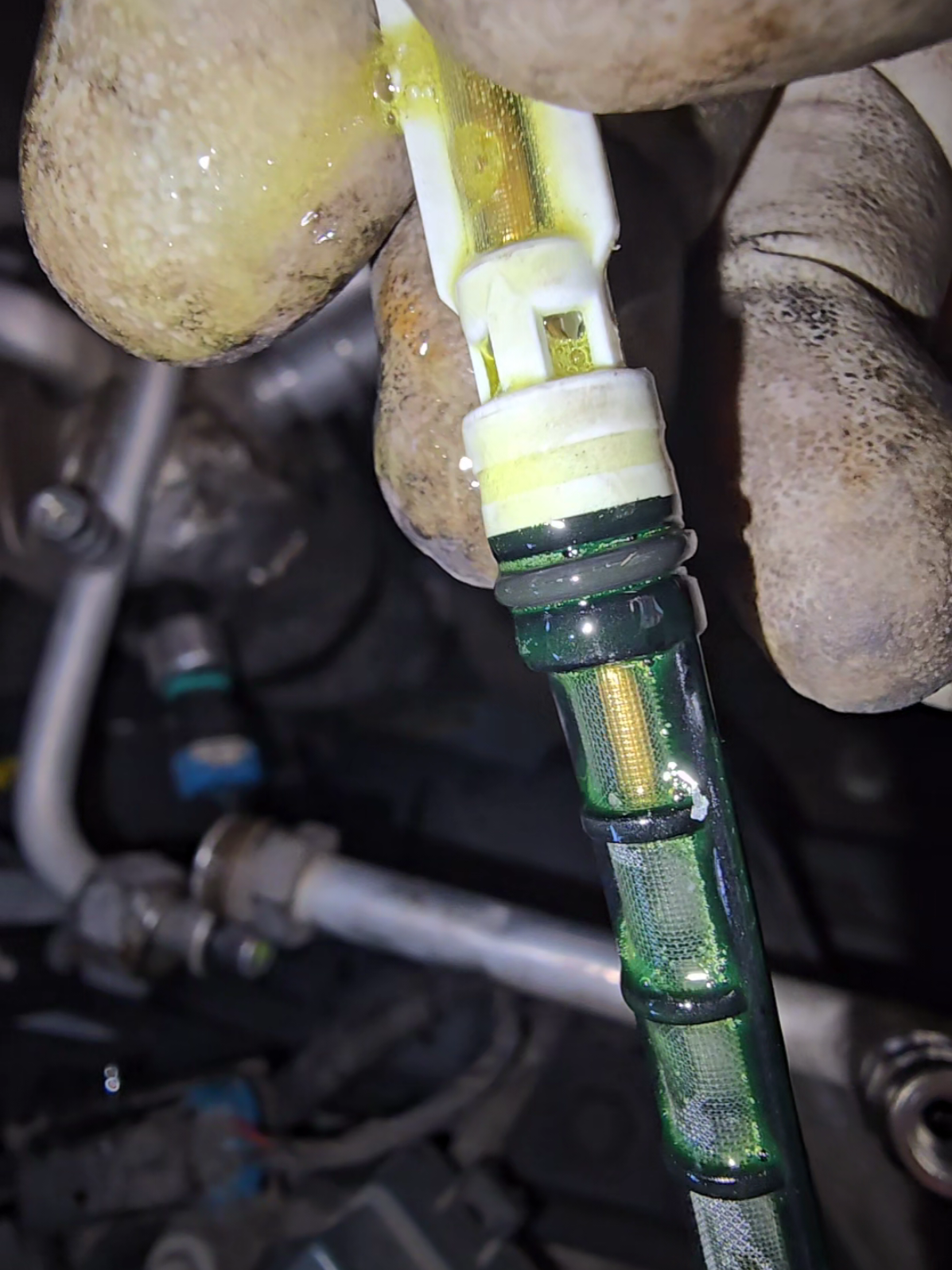 1402 s Main ST Santa Ana CA 714-586-2882