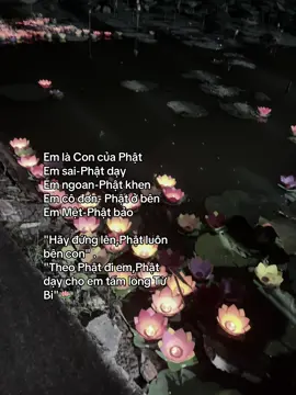 “Tu Đi Con , Nghiệp Tới Trả Không Nổi Đâu Con”🪷🪷 #xuhuongtiktok #phật 