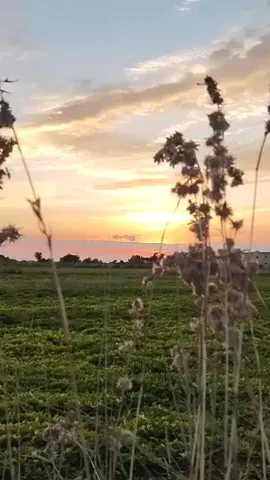 آج کی حقیقت  True Line 💯  #foryoupage❤️ #traditional #videoviral #views #True