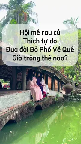 Hội chị em mê rau củ, đua đòi Bỏ phố về quê thực ra trông thế nào? #bophoveque #lamvuon #gaipholamvuon #lamvuonvuive 