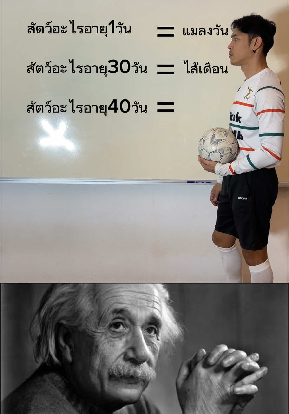 นักบอลตอบได้ทุกคน⚽️#นักบอล #ฟุตบอล #ไส้เดือน #คําถามคว้ามง 