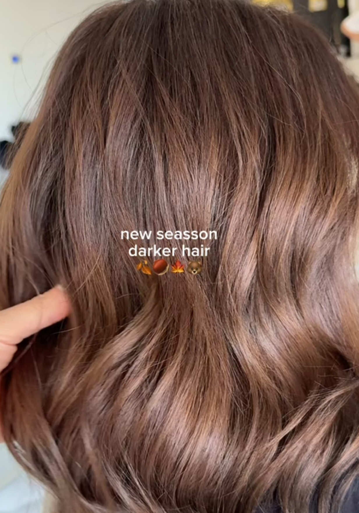 Chestnut glow for fall 🍂 @Wella Professionals  Formula:  Filler - Wella Color Touch 8/03 Allover Color - Wella Color Touch  7/73 + 7/71 mixed with 1,9% 1:2  #fallhairtrends #fallhaircolor #wellaformula 