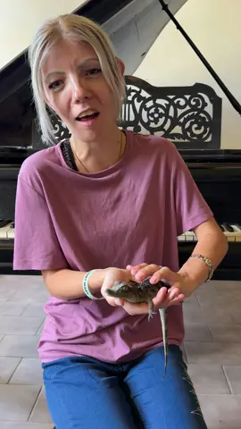 Adélka Shopaholik si pořídila jako ti nejlepší zápasníci světa krokodýla mořského a říká mu Conor🥰