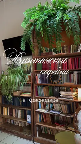 эстетика старого Краса 🤍#краснодар #кудасходить #винтаж #кофейни 