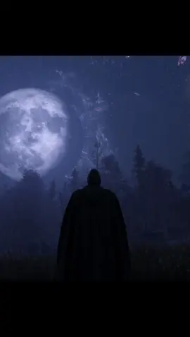 the beauty of Skyrim is unmatched.. 🌌 #skyrim #fyp #gaming #skyrimmods #elderscrolls 