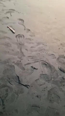 penenang🌝 #pantaibayuranjepara #pltutanjungjatijepara #pantaijepara 