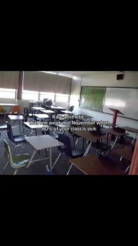 bonding with the 20% #rareaesthetic #reletable #schoollife #schoolcore #november 