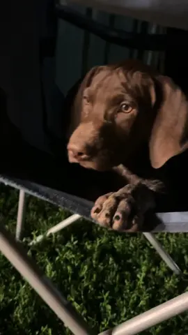 #fyp #trending #tiktokgrowth #smallcontentcreator #strangers 