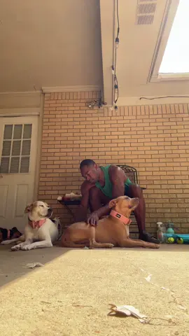 Cora Booked A Massage and Grooming services today 