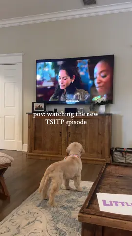 even moose was confused😂 how anticlimactic  #tsitp #thesummeriturnedpretty #goldenretrieverpuppy #funny #relatable @the summer i turned pretty 