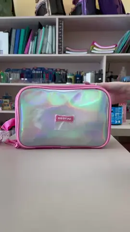 Estojo perfeito para quem ama brilho, praticidade e organização 😍 #papelaria #organizacao  #estojo #viral  #fyp 