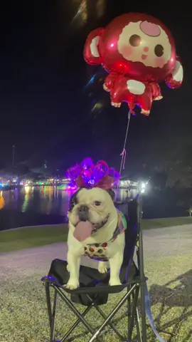 วันนี้โป่ยโป๊ยมาวิ่งเล่นกับเพื่อนๆ ที่งานหาดใหญ่ไอซ์โดม มาเจอกันนะครับเพื่อนเพื่อน#เฟรนบูด็อกไทยแลนด์ #เทรนวันนี้ในtiktok #หมาหาดใหญ่#งานหาดใหญ่ไอซ์โดม