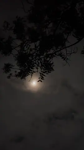 𝐆𝐮𝐧 𝐢𝐲𝐨 𝐰𝐚𝐚 𝐠𝐨𝐛𝐞𝐞 𝐦𝐮𝐱𝐮𝐮 𝐣𝐚𝐜𝐞𝐲𝐥 𝐠𝐨𝐝𝐨𝐛 𝐫𝐞𝐞𝐛𝐚𝐲𝐚 💕🫶