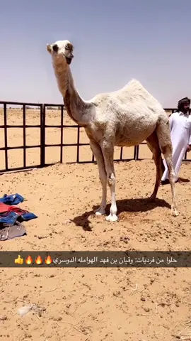 اذكرو الله 🔥🔥🔥