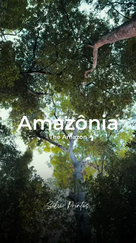 Hoje celebramos o Dia da Amazônia, o coração que pulsa vida para o mundo. 🌎 Mais do que uma floresta, ela é raiz, cultura, esperança e futuro… Proteger a Amazônia é proteger a nós mesmos. 🌳