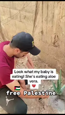 #savepalestine  #freepalestine 