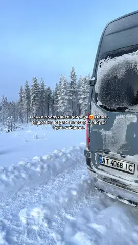Зовсім скоро ми будемо знову в Лапландії,а поки що ловіть спогадів з минулого року✨#lapland #boshotrip #travel #christmas #українцізакордоном 