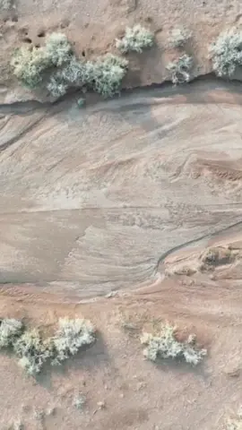 #القض راح وبرد الجو 