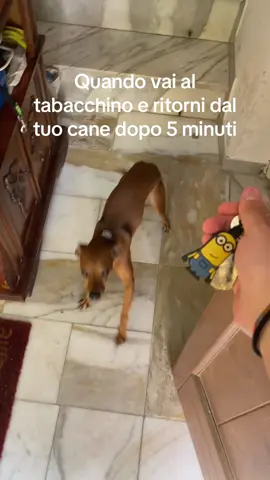 SKIBIDIPOPPI #Love #dog #fyp 