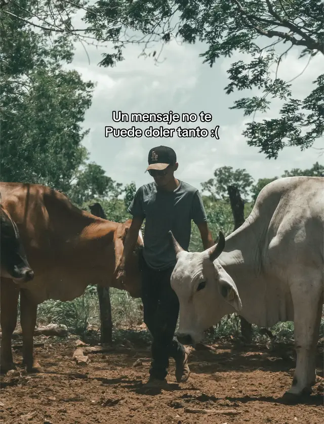 Aveces se gana aveces se pierde :(: #paratii #virał #vaquero #ganadero #ganaderia 
