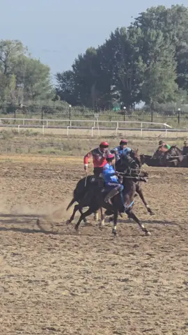 #кыргызстан #кокбору #улак 