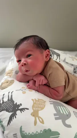 Tummy time at 4 days old 💙 hi baby Ace #tummytime #newborn #septemberbaby #38weekdelivery 