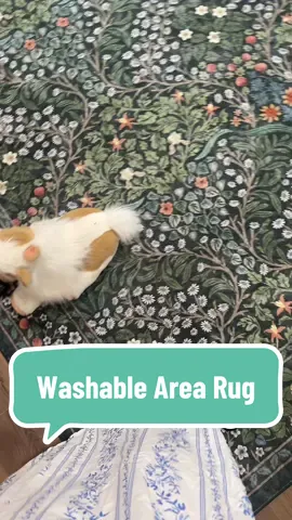 🥀🦚🌼🌱🕰️🧚🏻‍♀️ Reminds me of a certain washable rug I know… #washablerugs #arearug #tiktokshopcreatorpicks #homedecor #dealsforyoudays 