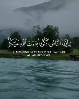 #الابذكر_الله_تطمئن_القلوب_أذكرو_الله #القران_الكريم_راحه_نفسية😍🕋 #سبحان_الله_وبحمده_سبحان_الله_العظيم #استغفرالله_واتوب_اليه_من_كل_ذنب_عظيم 