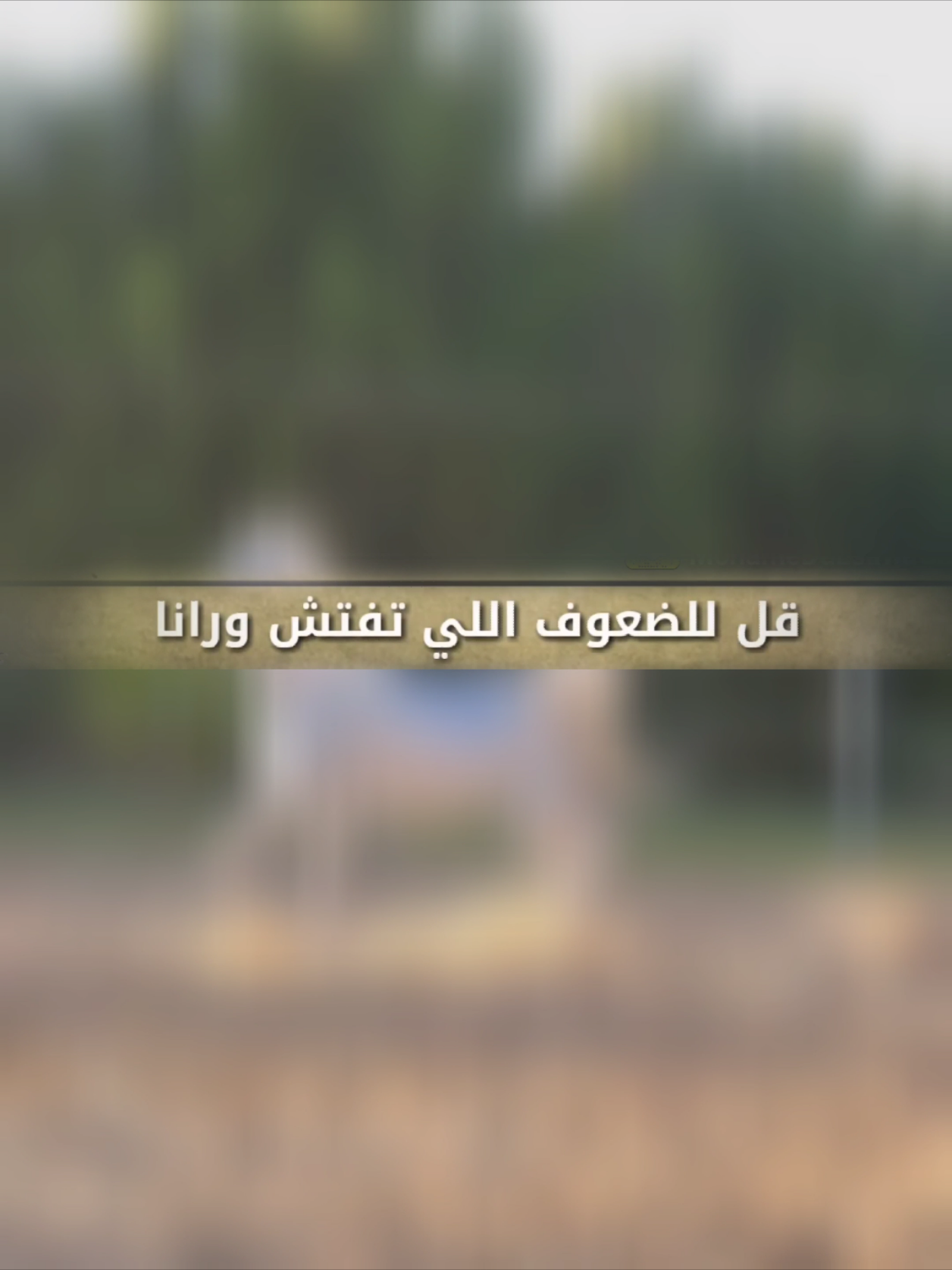 قل لضعوف الي تفتش ورانا | ادا جابر بن صبح  #تنفيذ_شيلات #شيلات_فهد_العيباني #شيلات_عبدالله_البرازي #شيلات_خالد_الشلية 