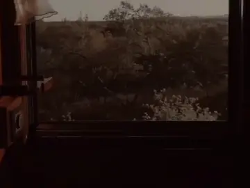 @ الي تحبه يعيش بكلبك🤎🍂 . . . . . . . . . . #خادمه_ابا_عبدالله_الحسين #مصممه_اهل_البيت_عليهم_السلام #يامولاي_يابا_عبدالله_الحسين #يامولاي_يابا_عبدالله_الحسين #شيعة_الامام_علي_عليه_السلام #اني_شيعيه_وافتخر_باميري_الامام_علي #اللهم_اشهد_اني_والـيت_علي_وال_بيته #ياصاحب_الزمان🤎✨✨ #تصاميمي😔🤎 