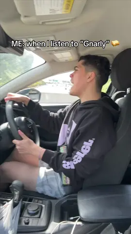 Don’t worry.. I’m SAFE 🥪 #viral #katseye #gnarly #music #fyp 💚 @KATSEYE 💚