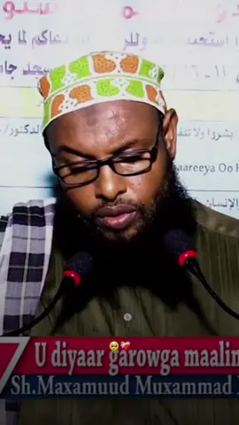 #views #muqdishotiktok #FYP #SOMALITIKTOK12 #SOCIALMEDIA 