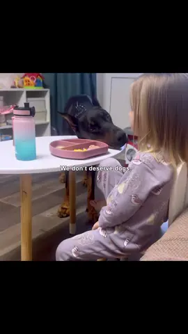We don't deserve dogs#positivity #hopecore #core 