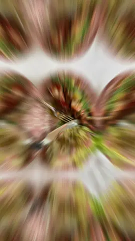 #🇬🇧🇬🇧🇬🇧🇬🇧🇬🇧🇬🇧❤️❤️❤️ 