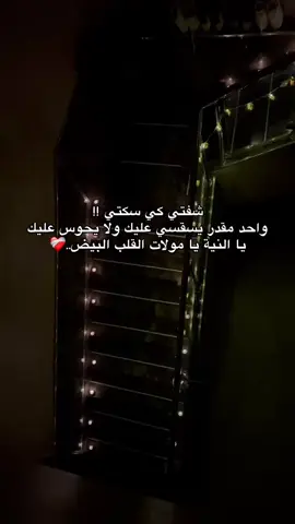 #سكيكدة_الزينة_و_حنا_فيك_تربينا🍓 #creatorsearchinsights #المولد_النبوي_الشريف 