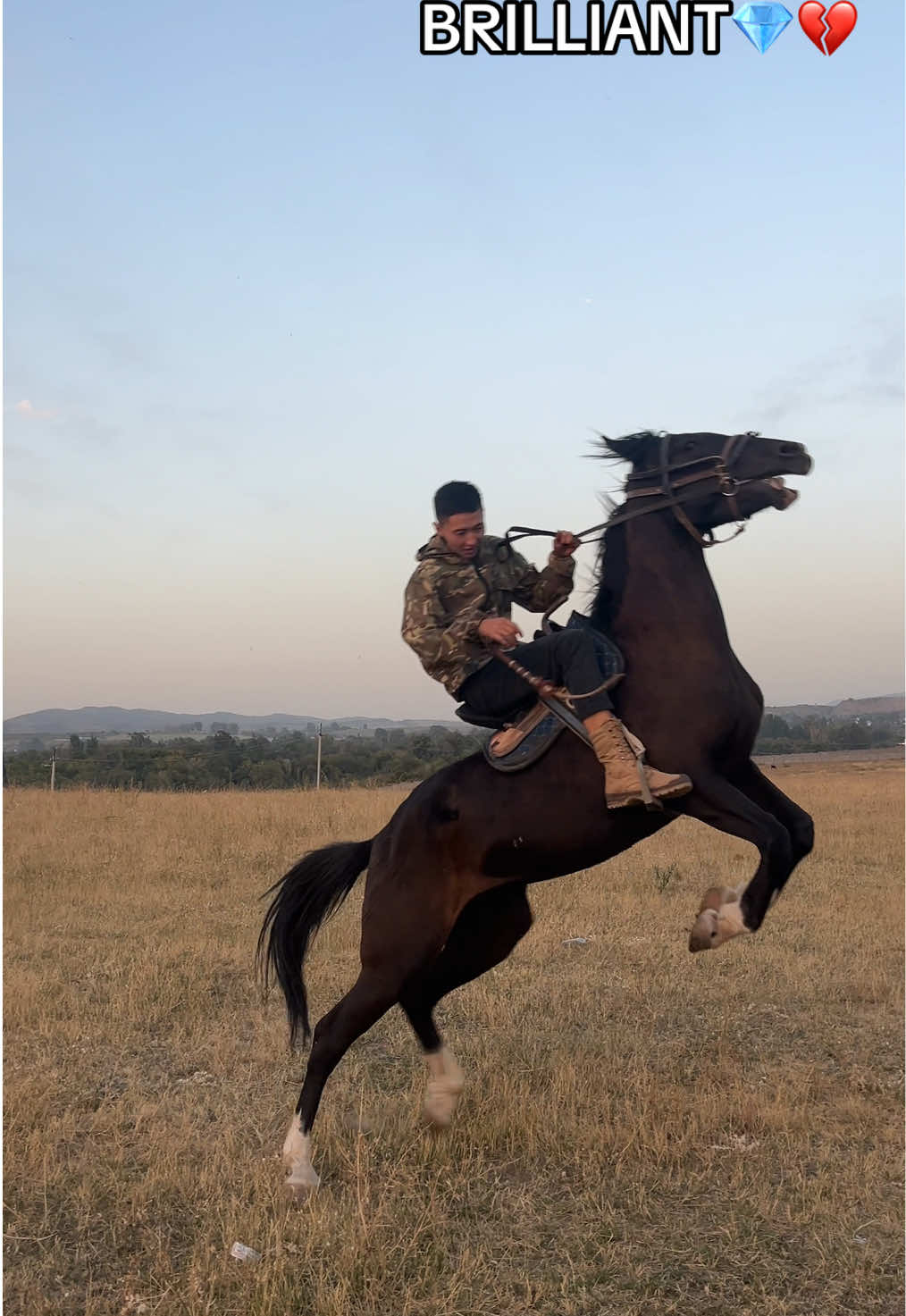 @Rom #amewshbndz #rec #recommendations #fypシ゚ 